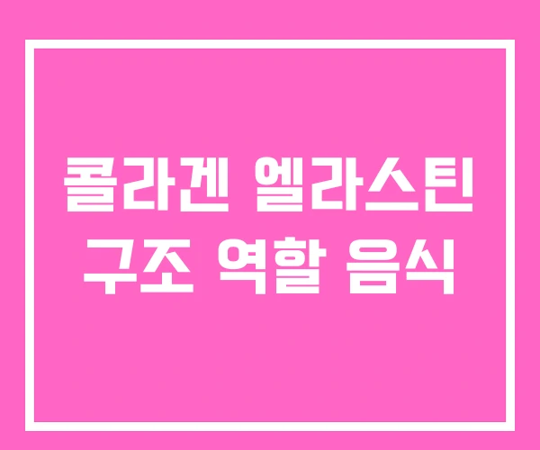 콜라겐 엘라스틴 구조 역할 음식 콜라겐 엘라스틴 구조 역할 음식