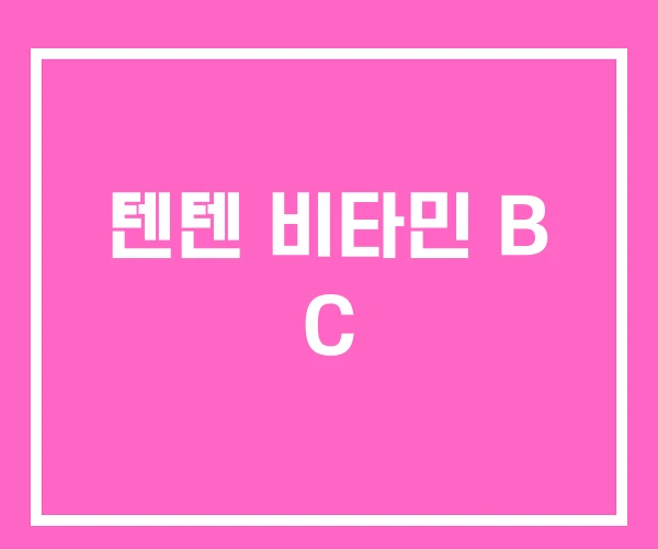 텐텐 비타민 B C 텐텐 비타민 B C