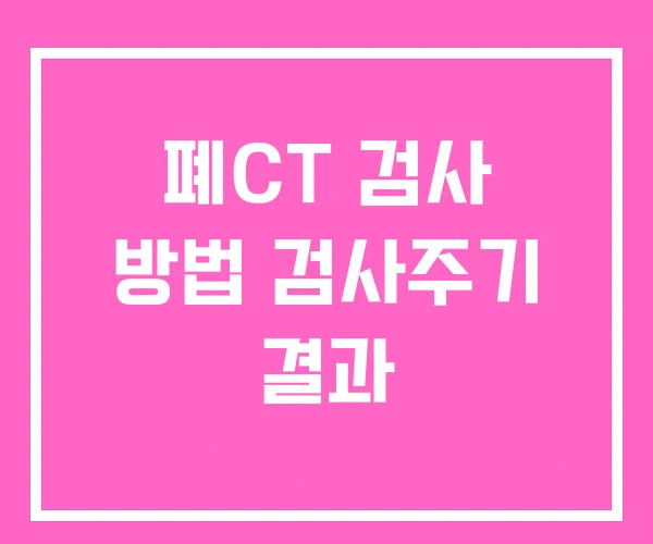폐CT 검사 방법 검사주기 결과