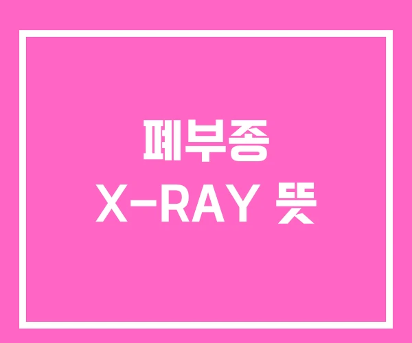 폐부종 X-RAY 뜻 폐부종 X-RAY 뜻