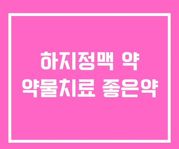 하지정맥 약 약물치료 좋은약