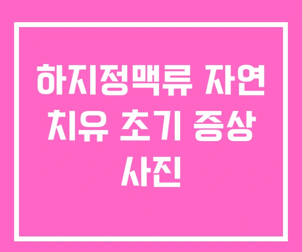 하지정맥류 자연 치유 초기 증상 사진 하지정맥류 자연 치유 초기 증상 사진