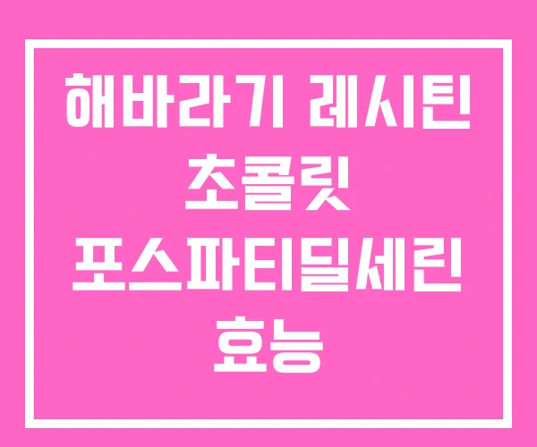 해바라기 레시틴 초콜릿 포스파티딜세린 효능