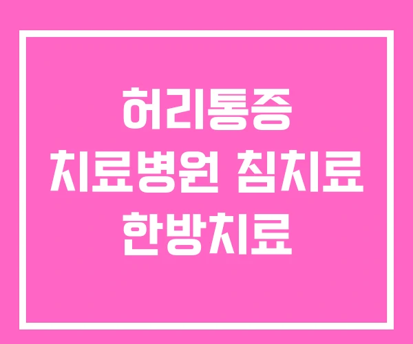 허리통증 치료병원 침치료 한방치료 허리통증 치료병원 침치료 한방치료