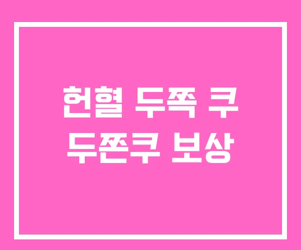 헌혈 두쪽 쿠 두쫀쿠 보상