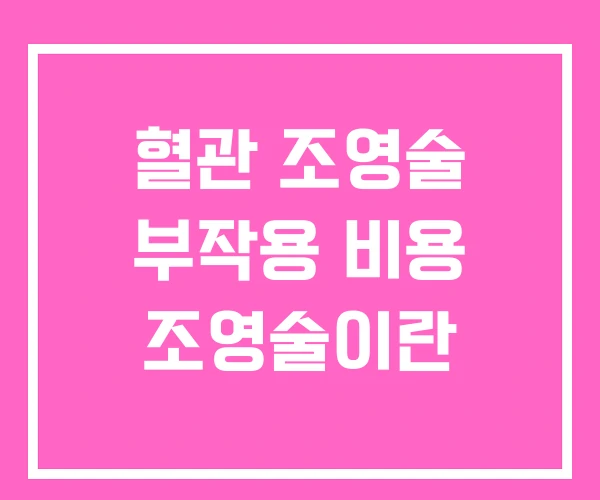 혈관 조영술 부작용 비용 조영술이란 혈관 조영술 부작용 비용 조영술이란