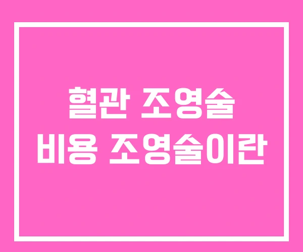 혈관 조영술 비용 조영술이란 혈관 조영술 비용 조영술이란