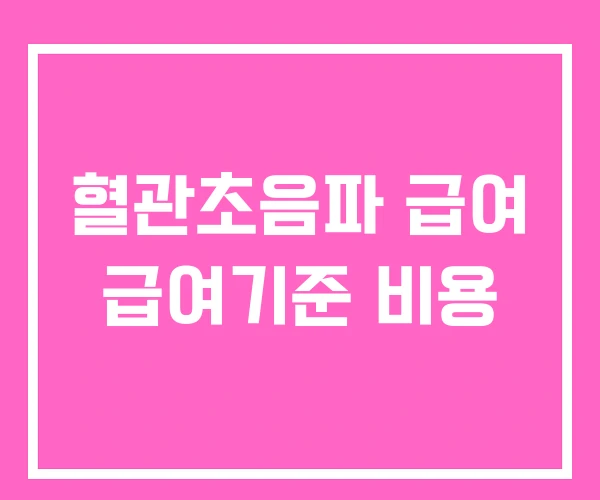 혈관초음파 급여 급여기준 비용