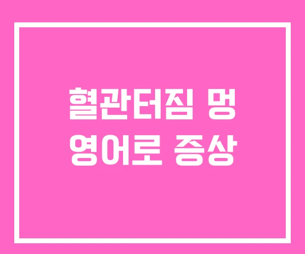 혈관터짐 멍 영어로 증상
