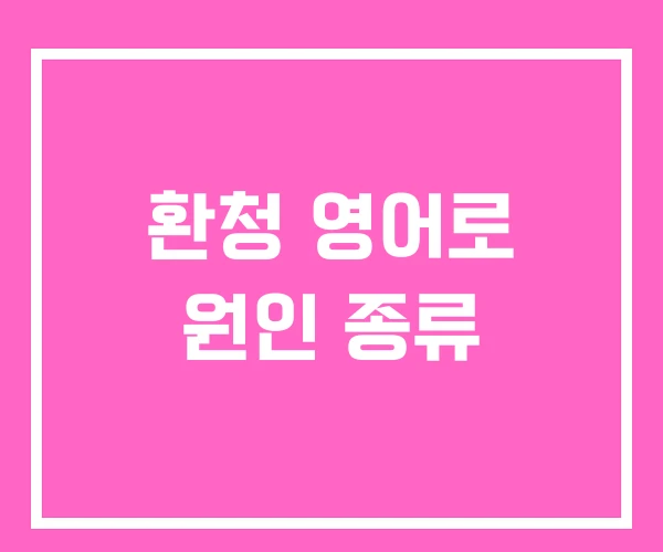 환청 영어로 원인 종류 환청 영어로 원인 종류