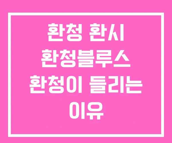 환청 환시 환청블루스 환청이 들리는 이유 환청 환시 환청블루스 환청이 들리는 이유