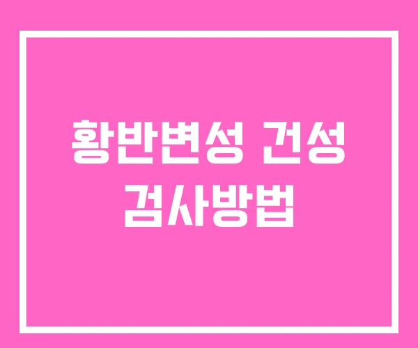 황반변성 건성 검사방법