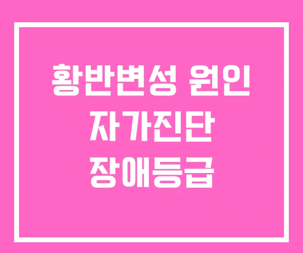 황반변성 원인 자가진단 장애등급 황반변성 원인 자가진단 장애등급