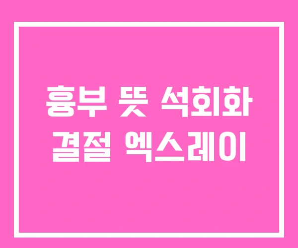 흉부 뜻 석회화 결절 엑스레이 흉부 뜻 석회화 결절 엑스레이