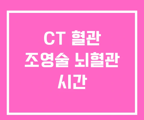 CT 혈관 조영술 뇌혈관 시간 CT 혈관 조영술 뇌혈관 시간