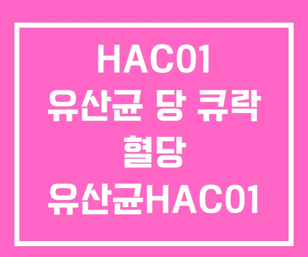 HAC01 유산균 당 큐락 혈당 유산균HAC01