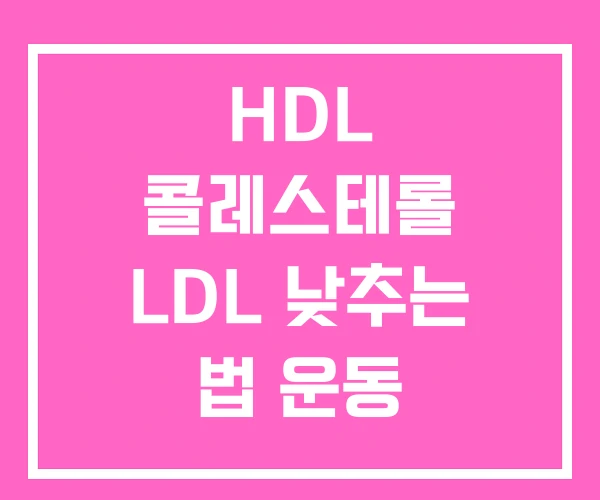HDL 콜레스테롤 LDL 낮추는 법 운동 HDL 콜레스테롤 LDL 낮추는 법 운동