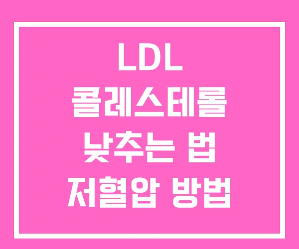 LDL 콜레스테롤 낮추는 법 저혈압 방법 LDL 콜레스테롤 낮추는 법 저혈압 방법