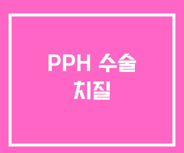 PPH 수술 치질 PPH 수술 치질