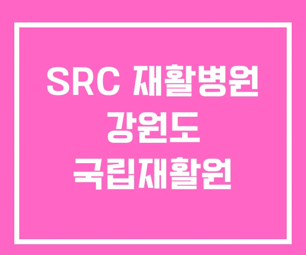 SRC 재활병원 강원도 국립재활원