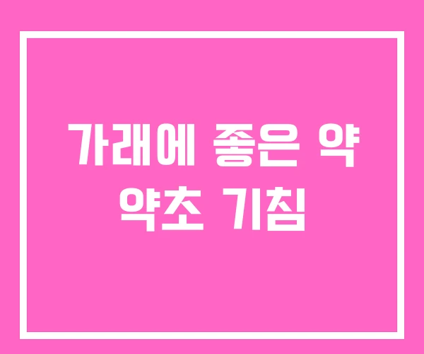 가래에 좋은 약 약초 기침
