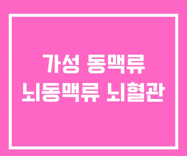 가성 동맥류 뇌동맥류 뇌혈관