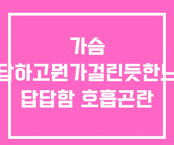 가슴 답답하고뭔가걸린듯한느낌 답답함 호흡곤란 가슴 답답하고뭔가걸린듯한느낌 답답함 호흡곤란