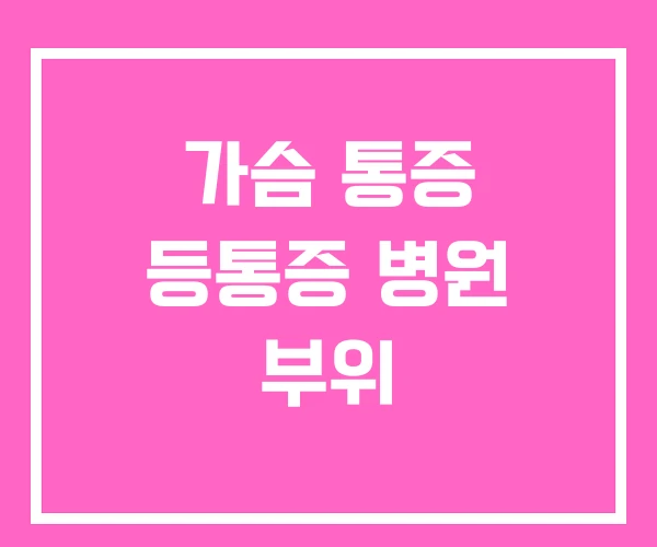 가슴 통증 등통증 병원 부위