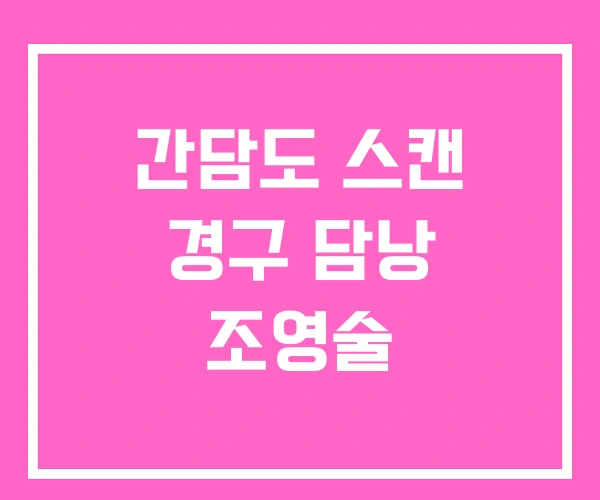 간담도 스캔 경구 담낭 조영술