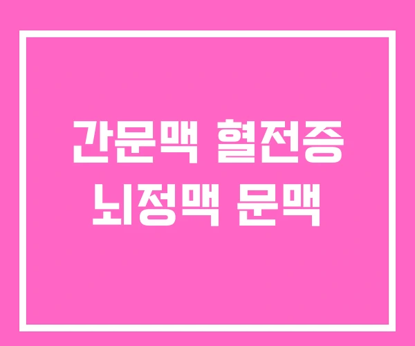 간문맥 혈전증 뇌정맥 문맥