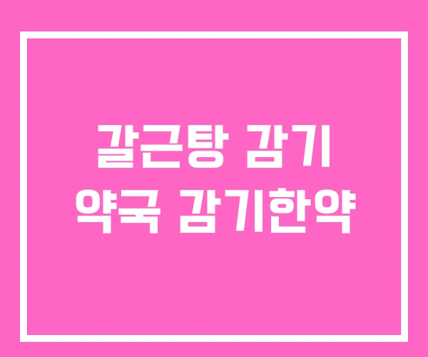 갈근탕 감기 약국 감기한약