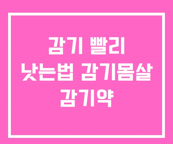 감기 빨리 낫는법 감기몸살 감기약