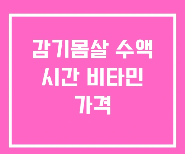 감기몸살 수액 시간 비타민 가격