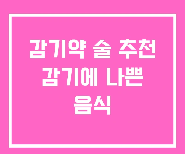 감기약 술 추천 감기에 나쁜 음식