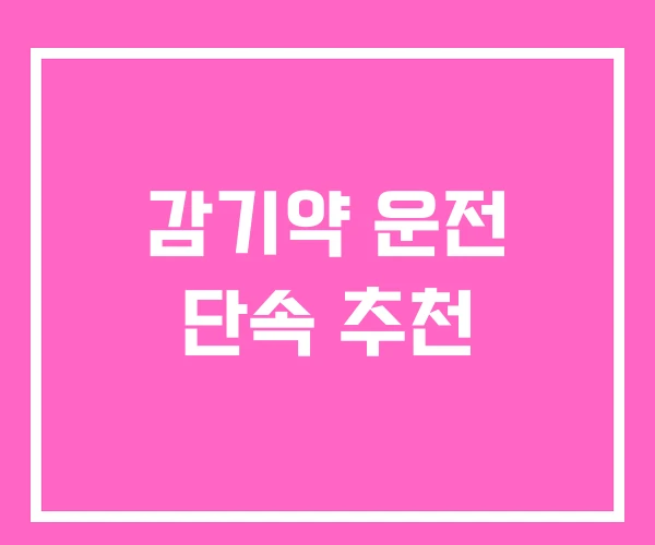 감기약 운전 단속 추천 감기약 운전 단속 추천