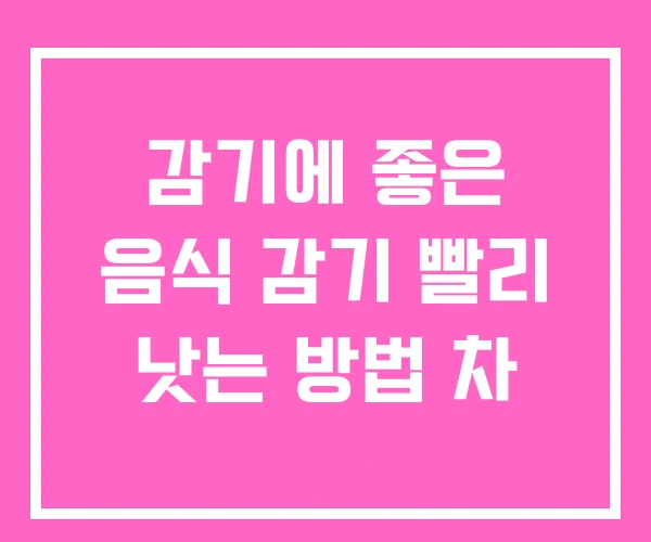 감기에 좋은 음식 감기 빨리 낫는 방법 차