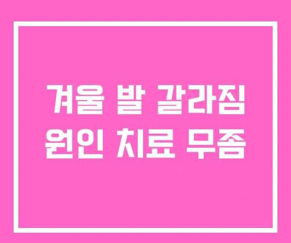 겨울 발 갈라짐 원인 치료 무좀