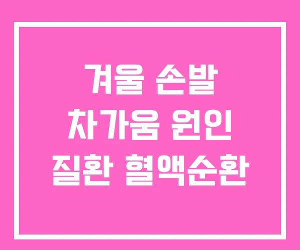 겨울 손발 차가움 원인 질환 혈액순환