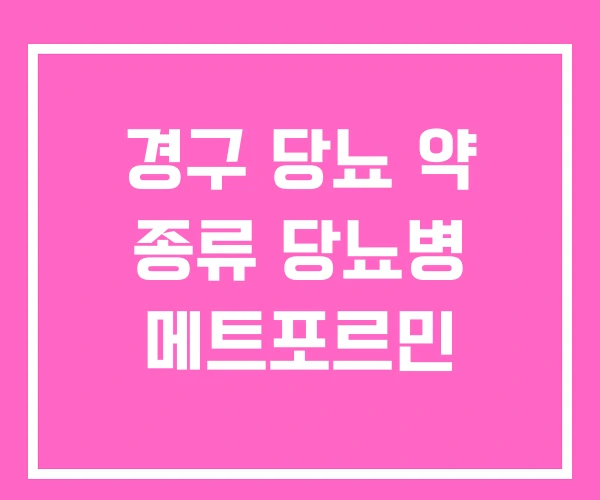 경구 당뇨 약 종류 당뇨병 메트포르민