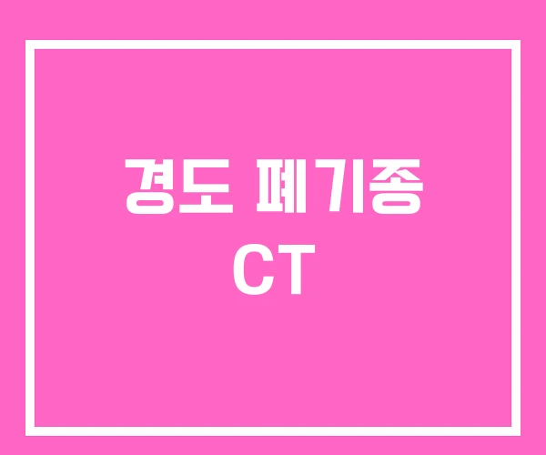 경도 폐기종 CT
