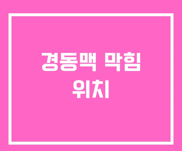 경동맥 막힘 위치