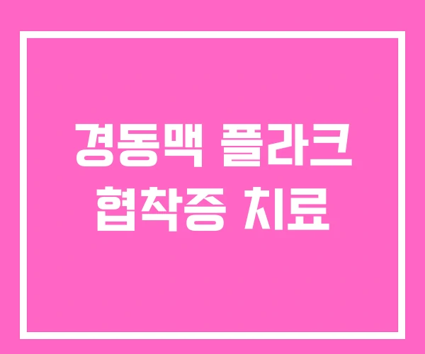 경동맥 플라크 협착증 치료