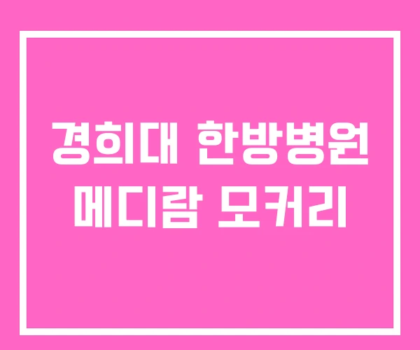 경희대 한방병원 메디람 모커리