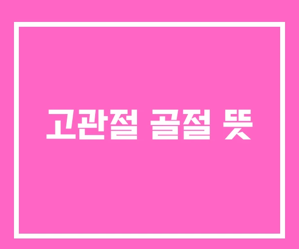 고관절 골절 뜻 고관절 골절 뜻