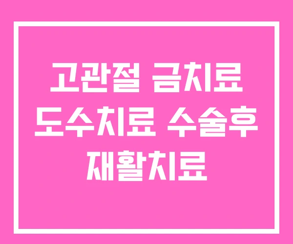 고관절 금치료 도수치료 수술후 재활치료