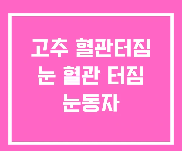 고추 혈관터짐 눈 혈관 터짐 눈동자