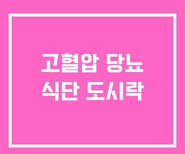 고혈압 당뇨 식단 도시락 고혈압 당뇨 식단 도시락