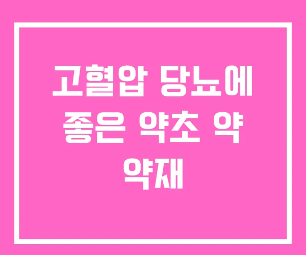 고혈압 당뇨에 좋은 약초 약 약재