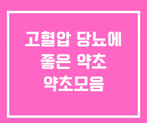 고혈압 당뇨에 좋은 약초 약초모음