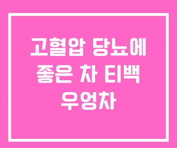 고혈압 당뇨에 좋은 차 티백 우엉차